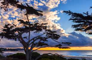 Carmel Cove-1786.jpg Carmel Cove-1786.jpg